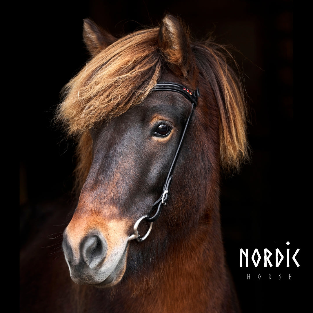 Höfuðleður - Rauð lína