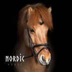Enskur reiðmúll - Svartur - Basic