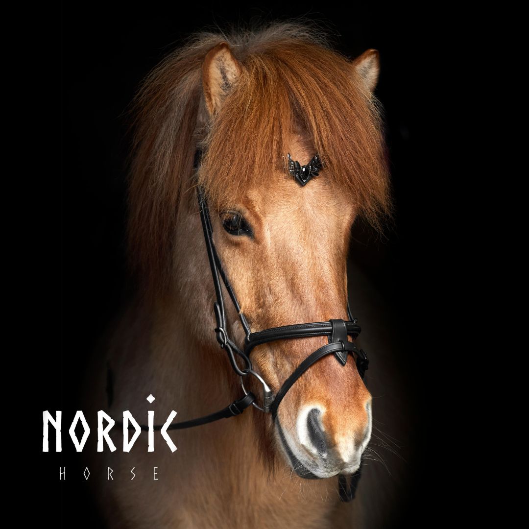 Enskur reiðmúll - Svartur - Basic