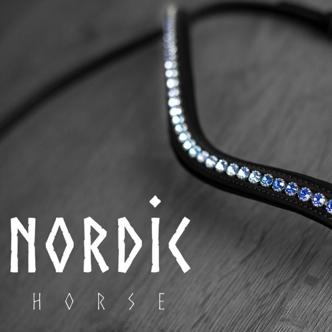 Höfuðleður - Vetur