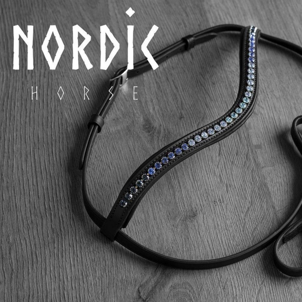 Höfuðleður - Vetur