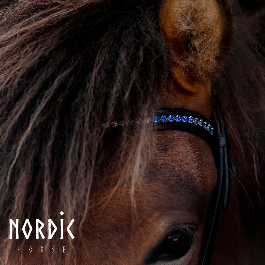 Höfuðleður - Vetur