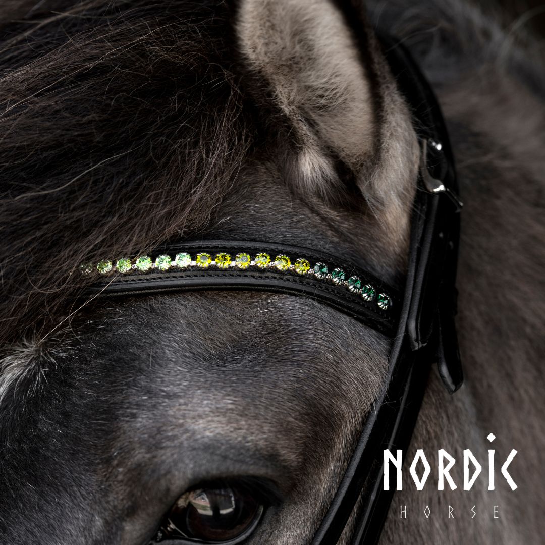 Höfuðleður - Vor