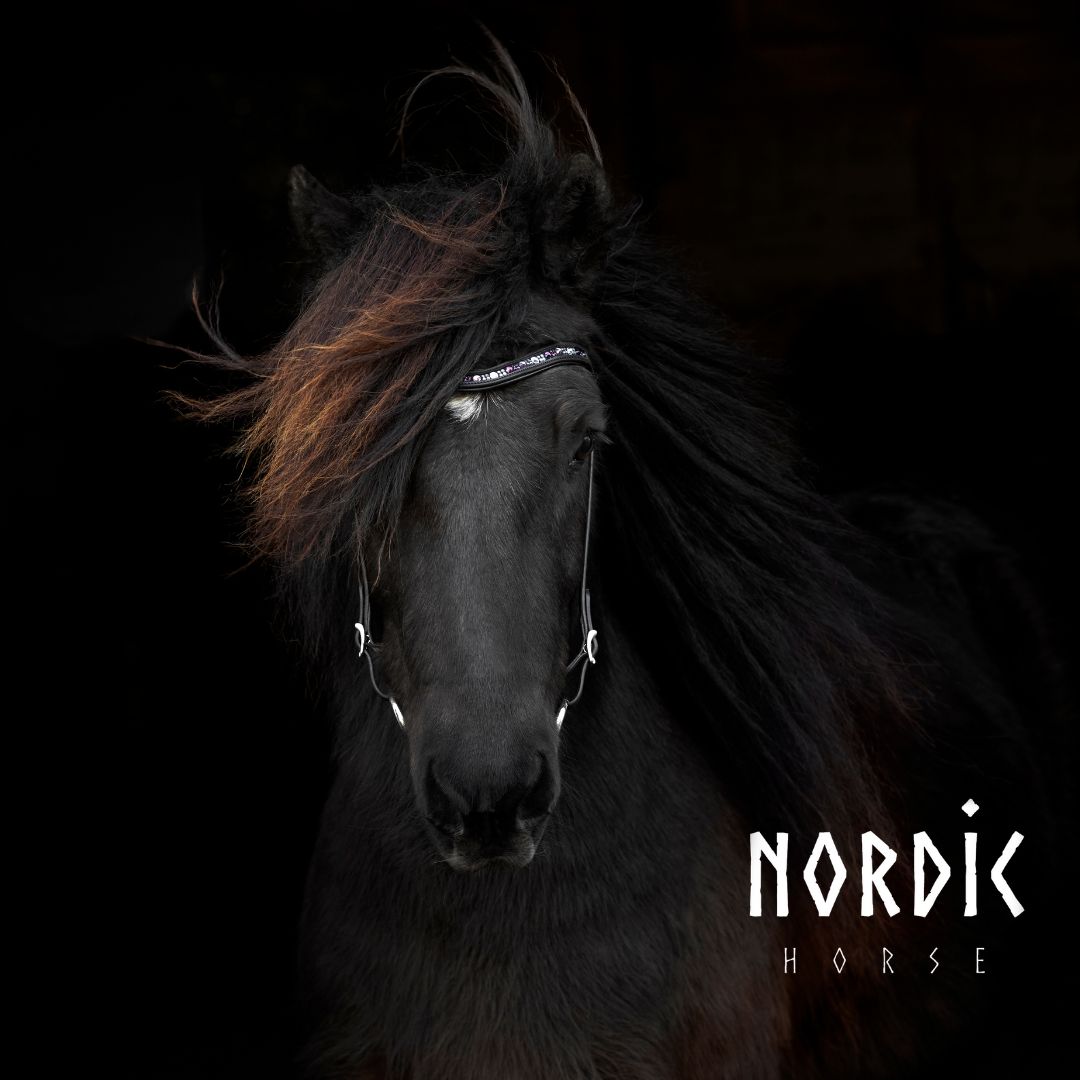 Höfuðleður - Colormix fjólublátt
