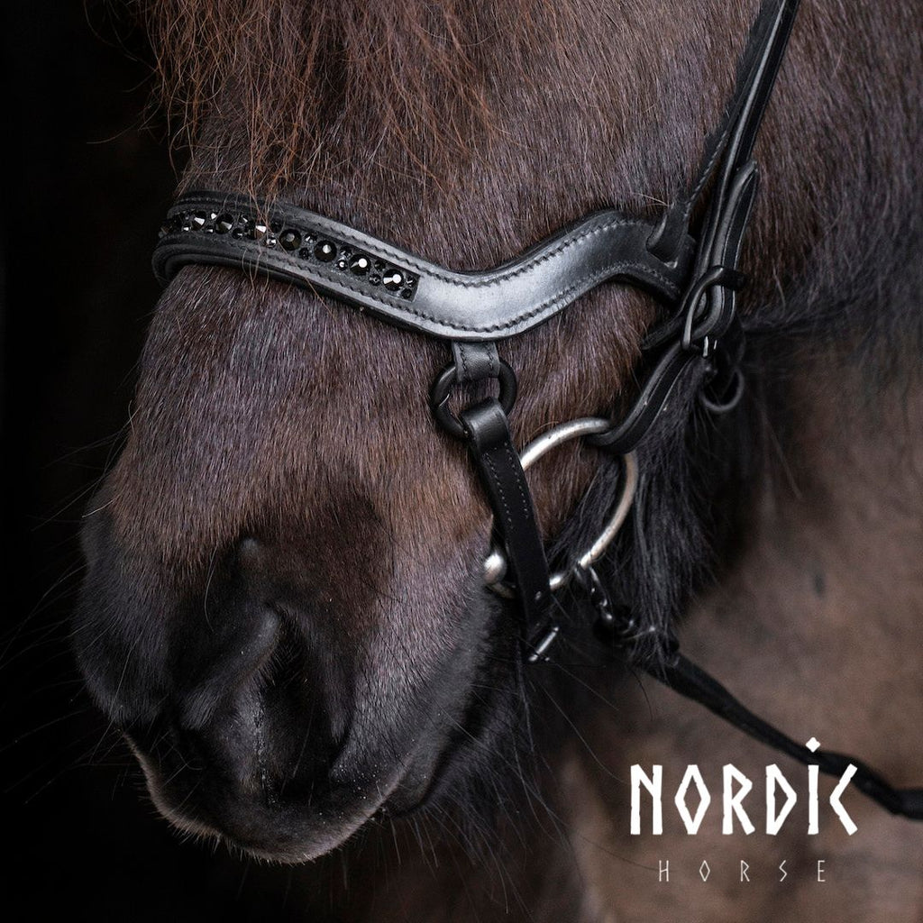 Anatómískur reiðmúll - All black