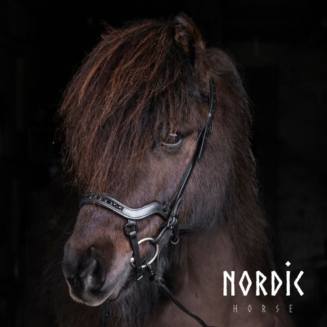 Anatómískur reiðmúll - All black