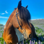 Höfuðleður með útskurði og steinum