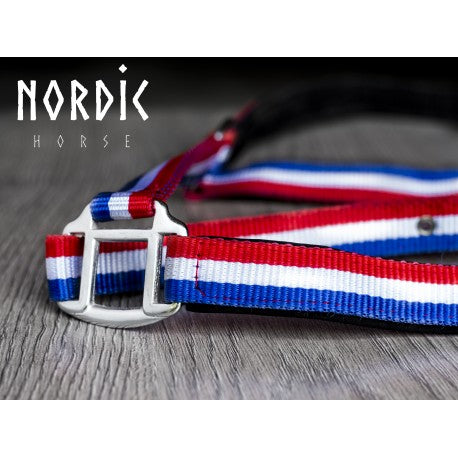 Stallmúlar - Móðir og folald í Íslensku litunum