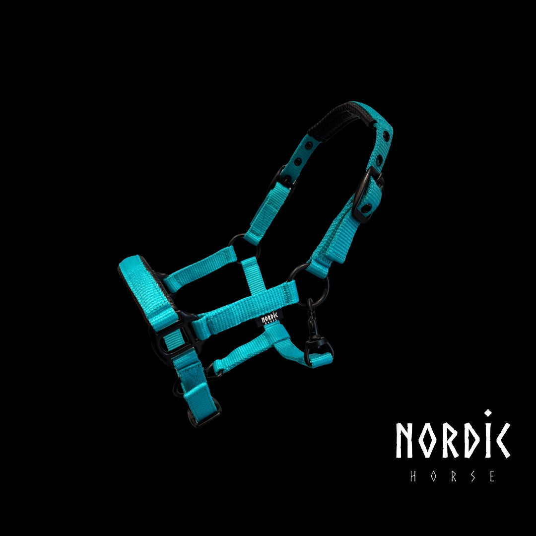 Folaldastallmúll - Nylon - Túrkís