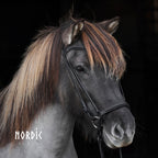 Reiðmúll - Svartur - Basic