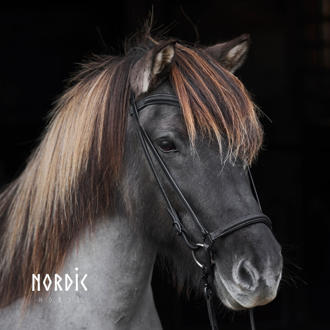 Reiðmúll - Svartur - Basic