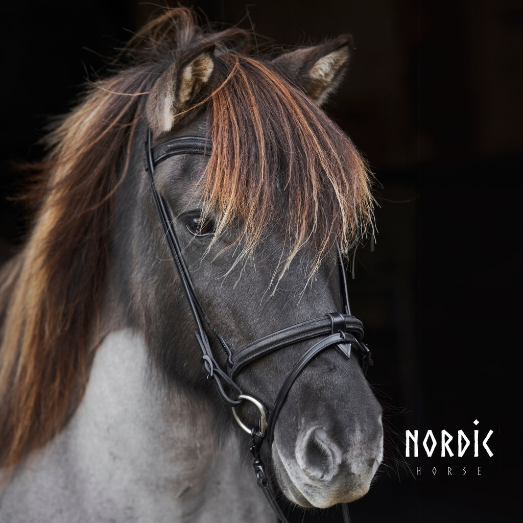 Enskur reiðmúll - Glitur - Svartur