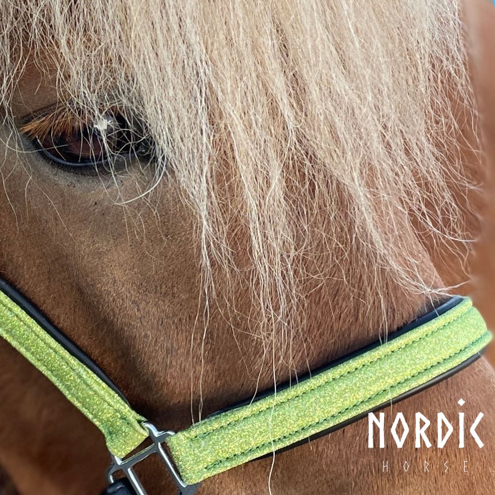 Stallmúll - Leður - Glimmer - Grænn