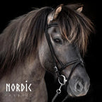 Enskur reiðmúll - All Black