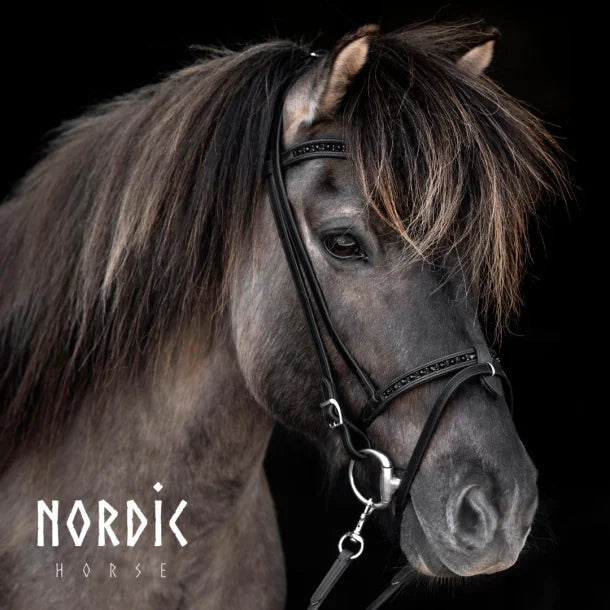 Enskur reiðmúll - All Black