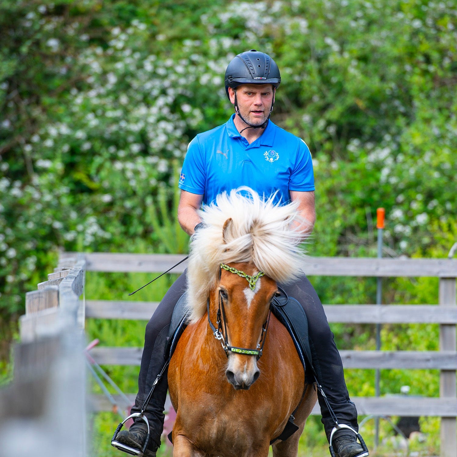 Hugarþjálfun 60 mínútur (Teams) - Skipulag þjálfunar