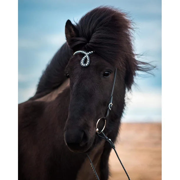 Höfuðleður - Drop