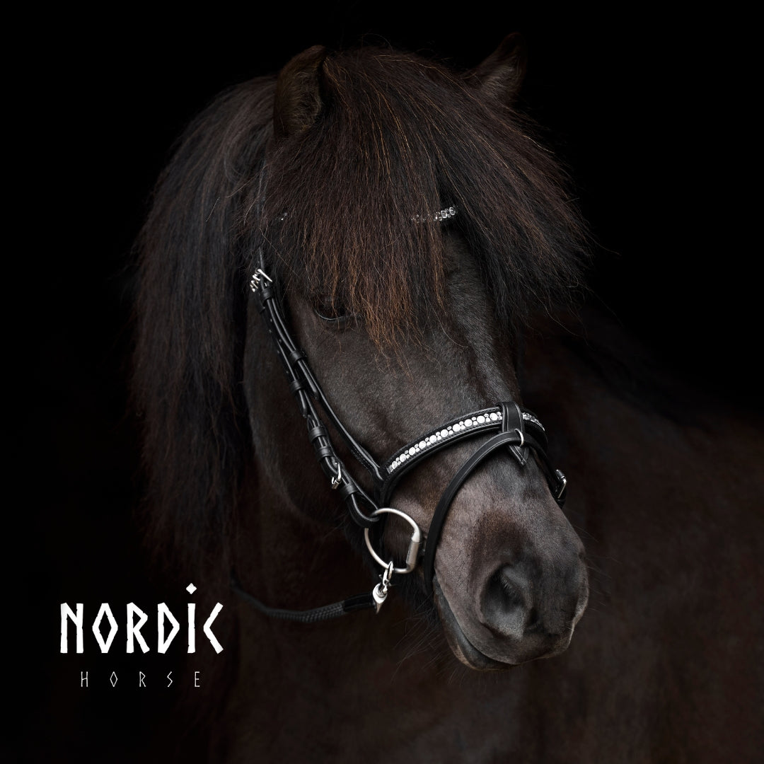 Enskur reiðmúll - All White