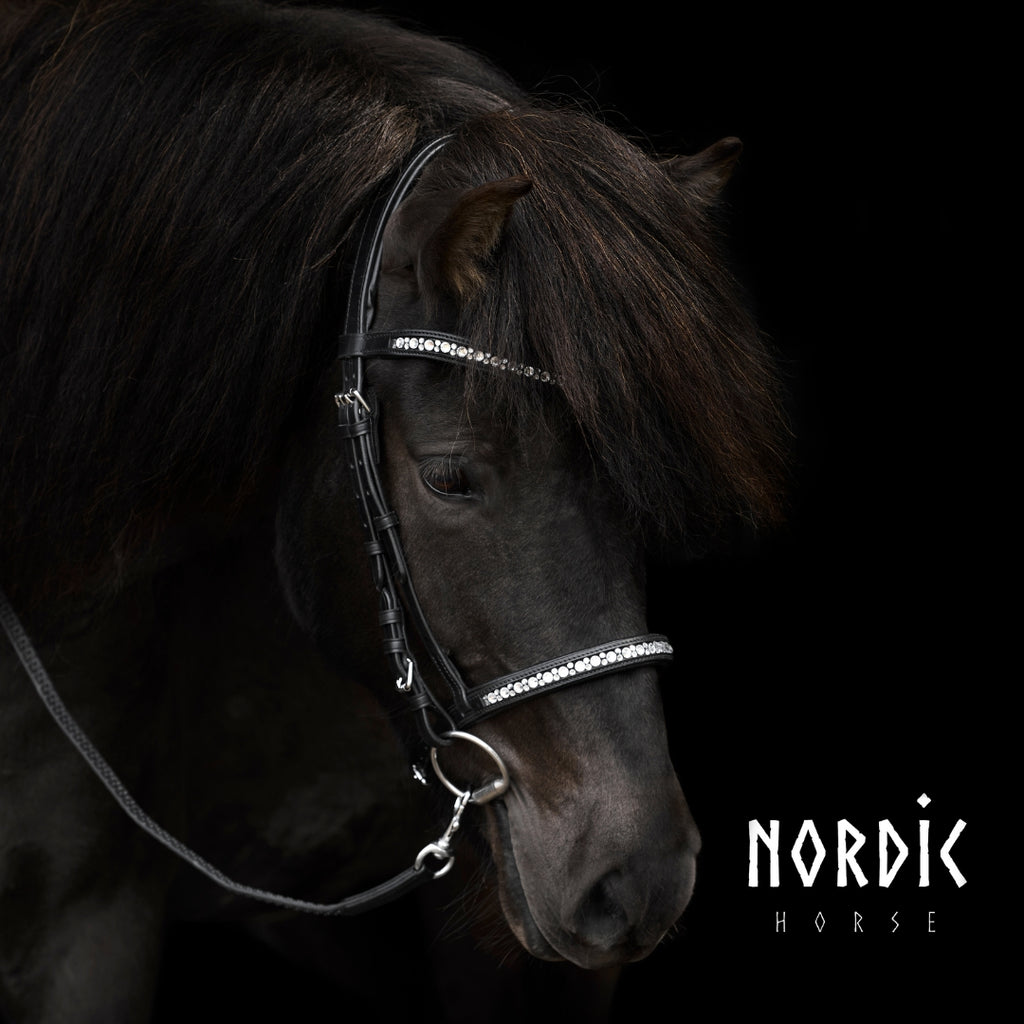 Enskur reiðmúll - All White