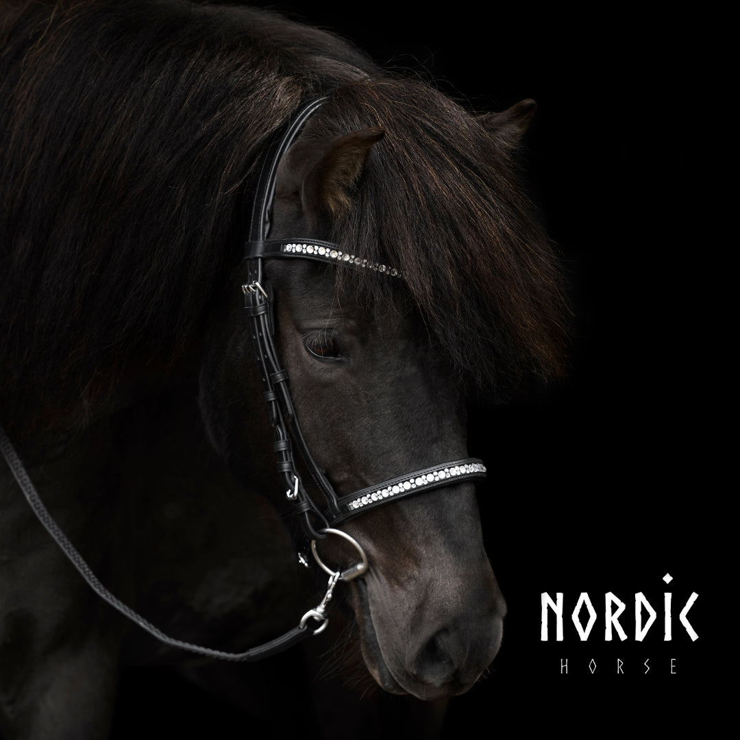 Enskur reiðmúll - All White