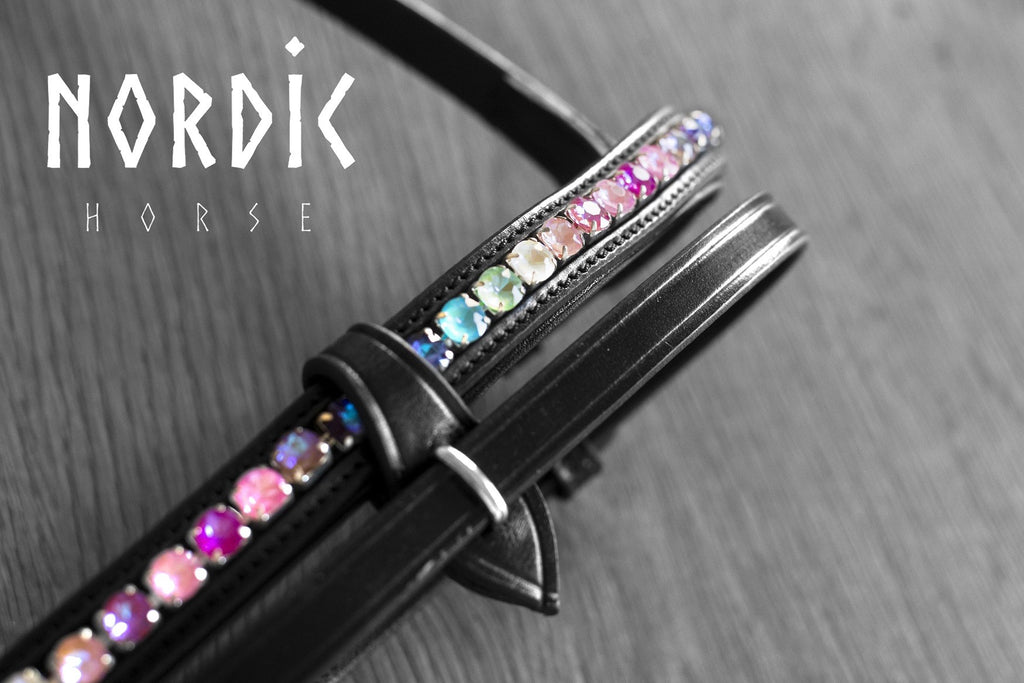 Enskur reiðmúll - Rainbow