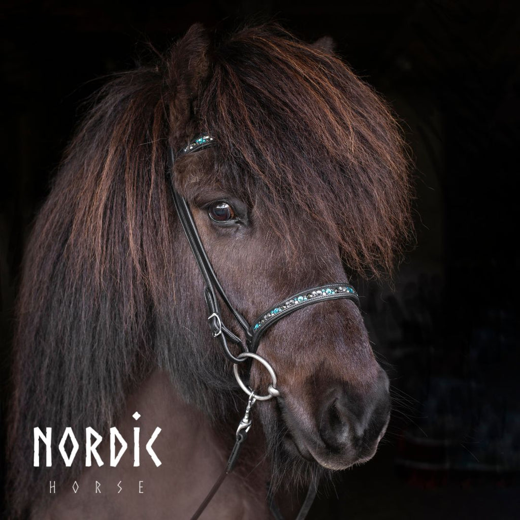 Höfuðleður - Colormix túrkís