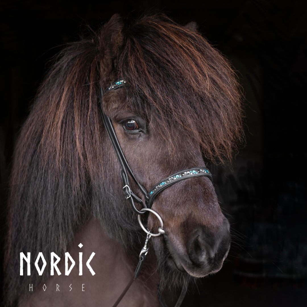 Höfuðleður - Colormix túrkís