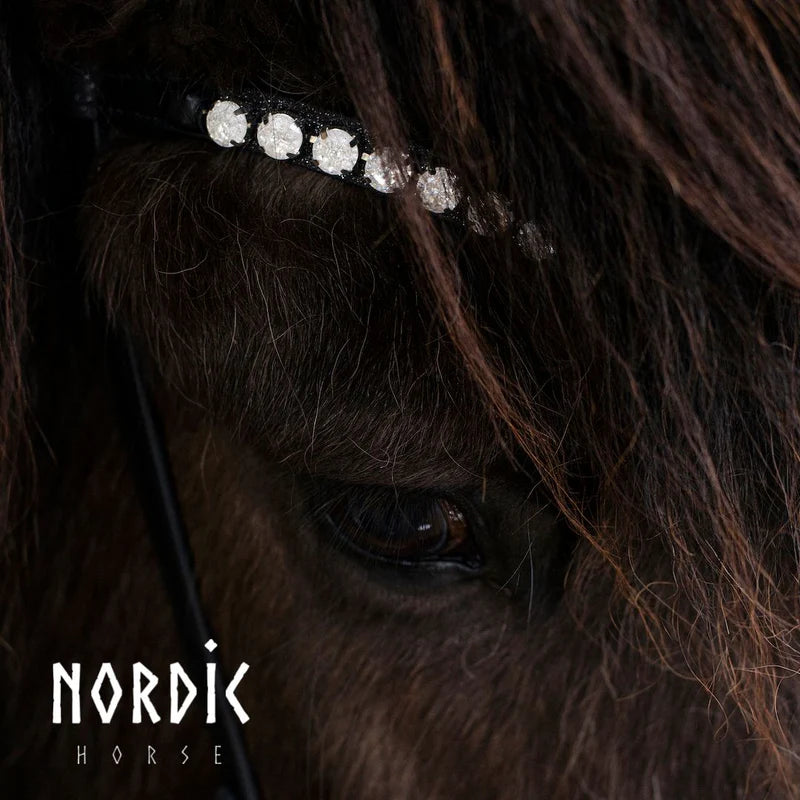 Höfuðleður - Sparkling ICE