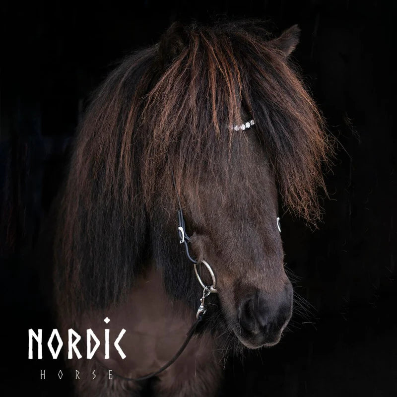 Höfuðleður - Sparkling ICE