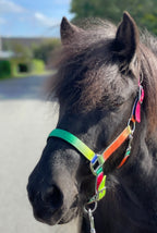 Stallmúl - Nylon - Regnboga