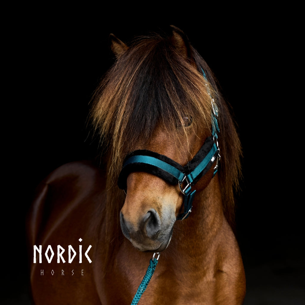 Stallmúlasett - Nylon - Grænt