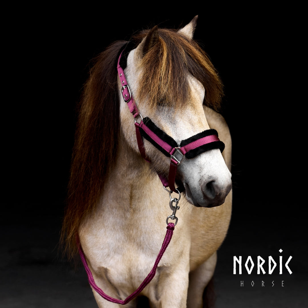 Stallmúlasett - Nylon - Vínrautt