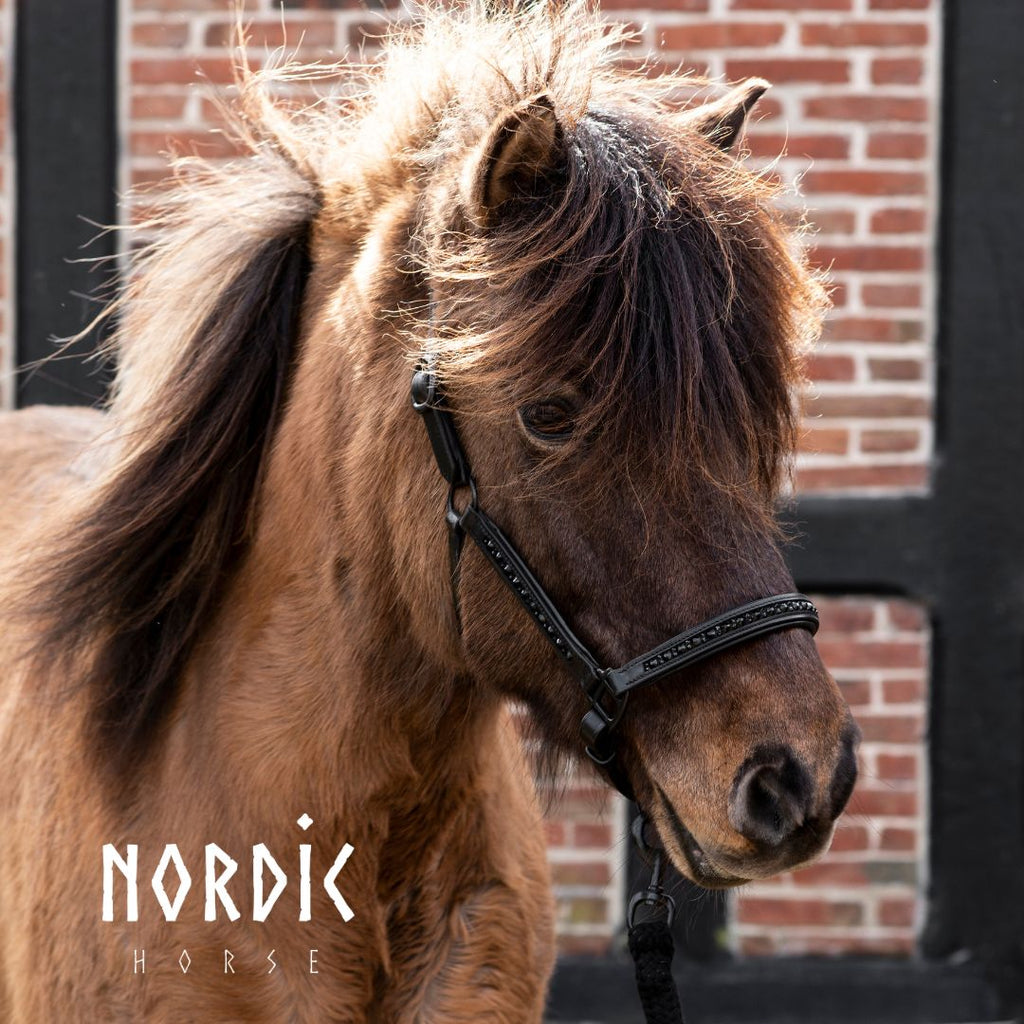 Stallmúll - Leður - All Black