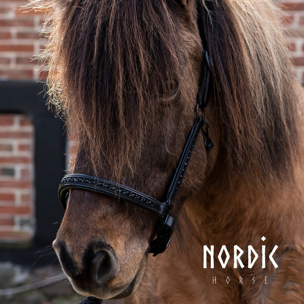 Stallmúll - Leður - All Black