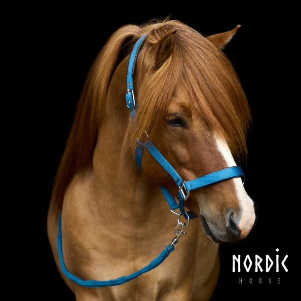 Stallmúll - Ocean blue