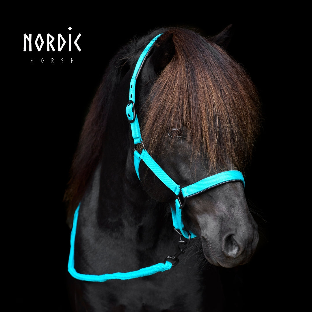 Stallmúlasett - Nylon - Turkís