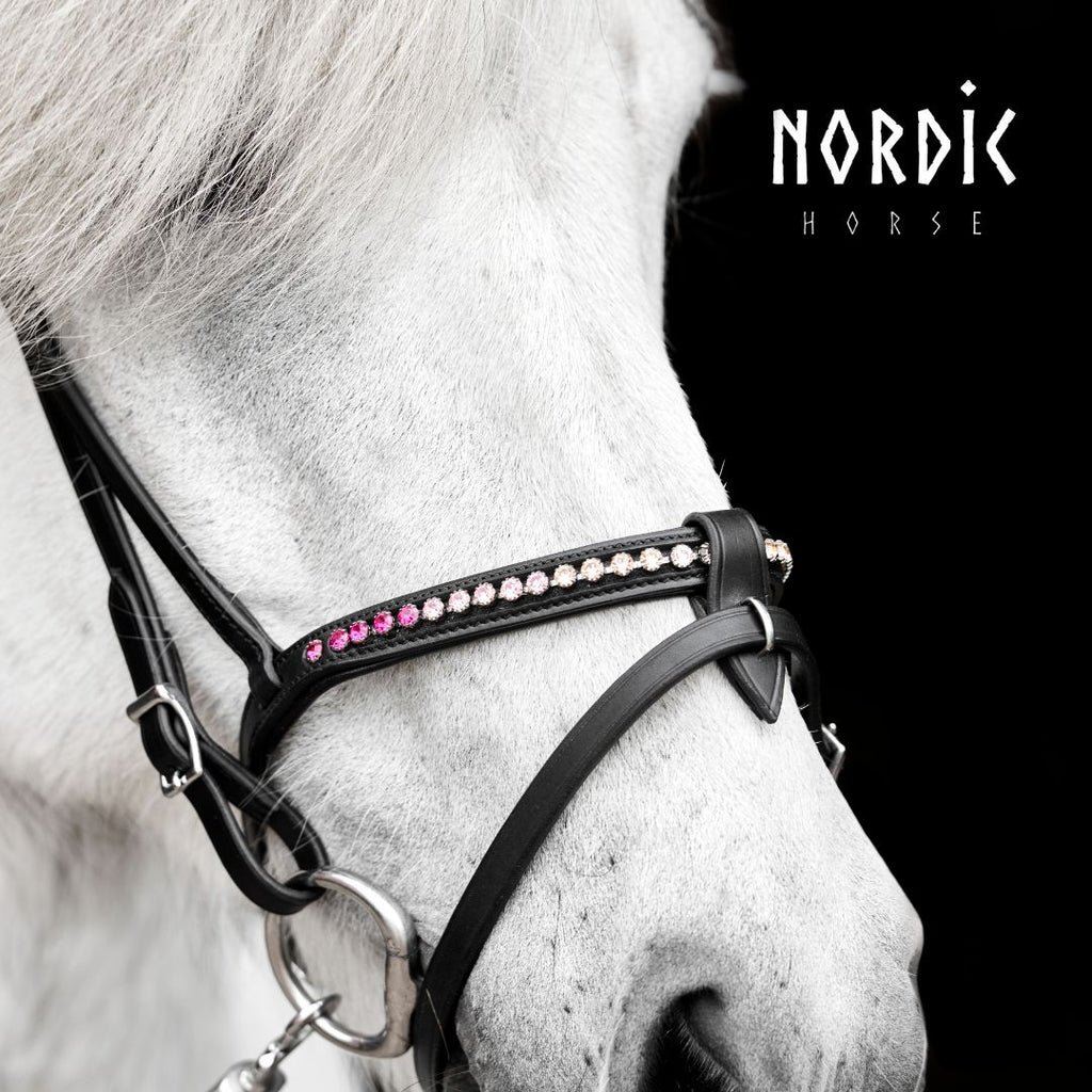 Enskur reiðmúll - Summer