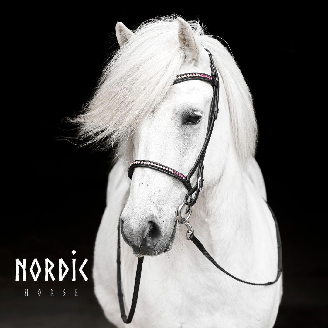 Höfuðleður - Summer